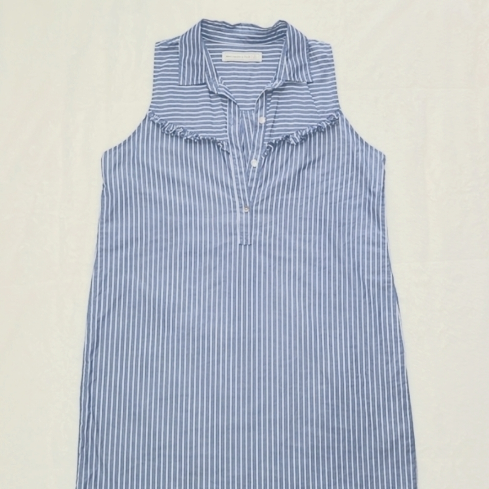 A&F Striped Shirt Dress